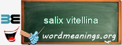 WordMeaning blackboard for salix vitellina